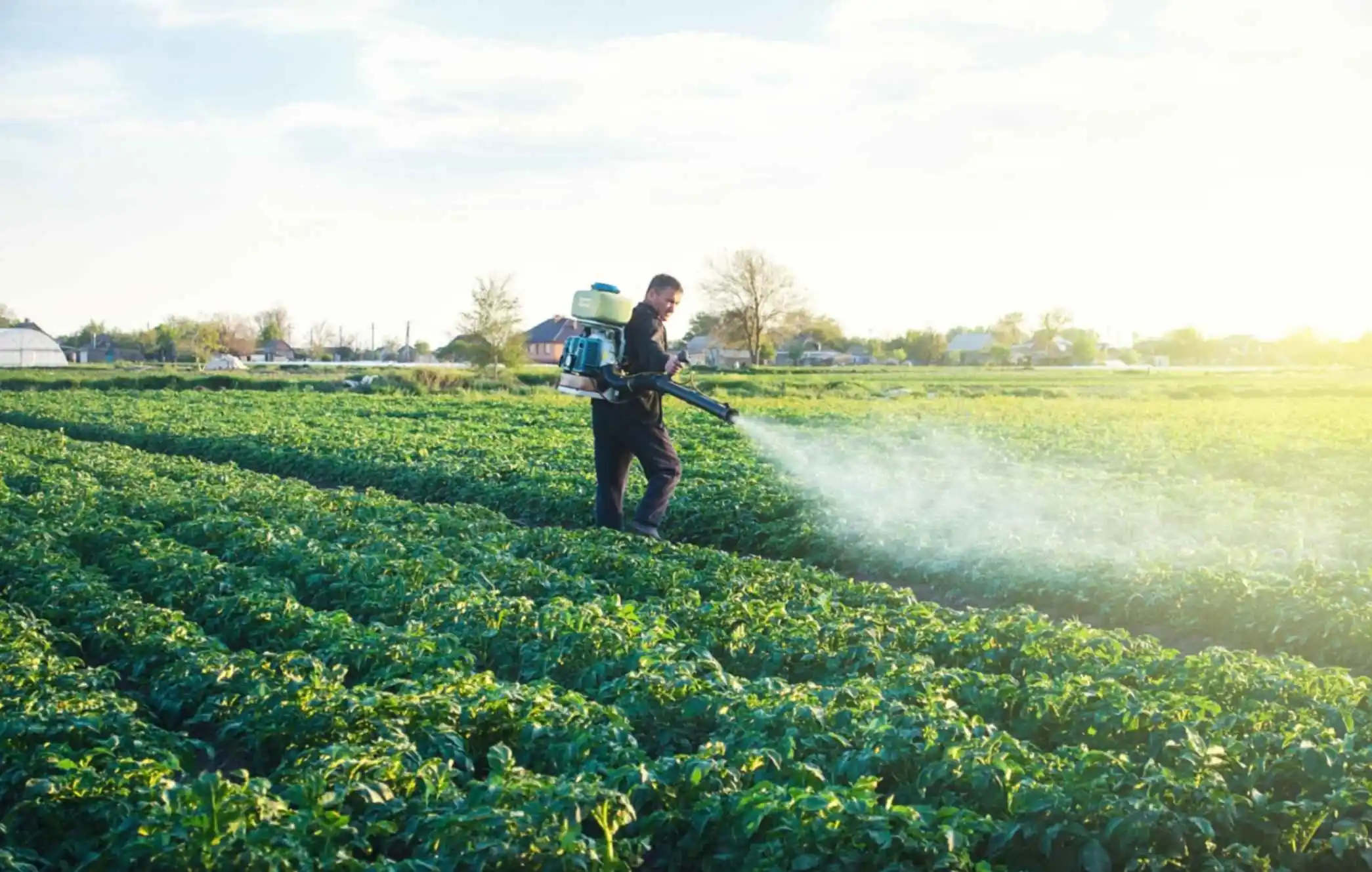 farmer spraying pesticides