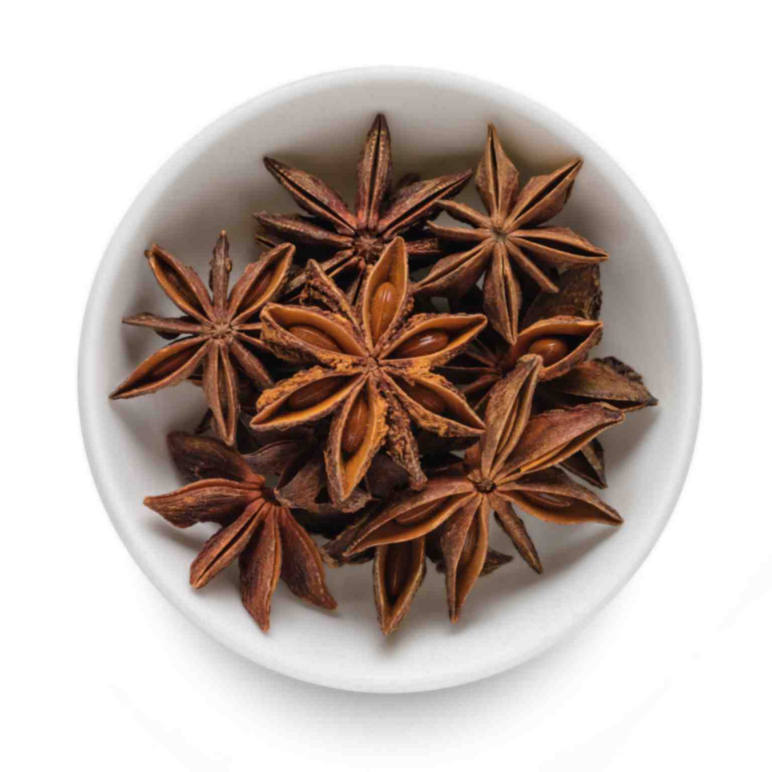 Star Anise( Anna Ichi Pov)