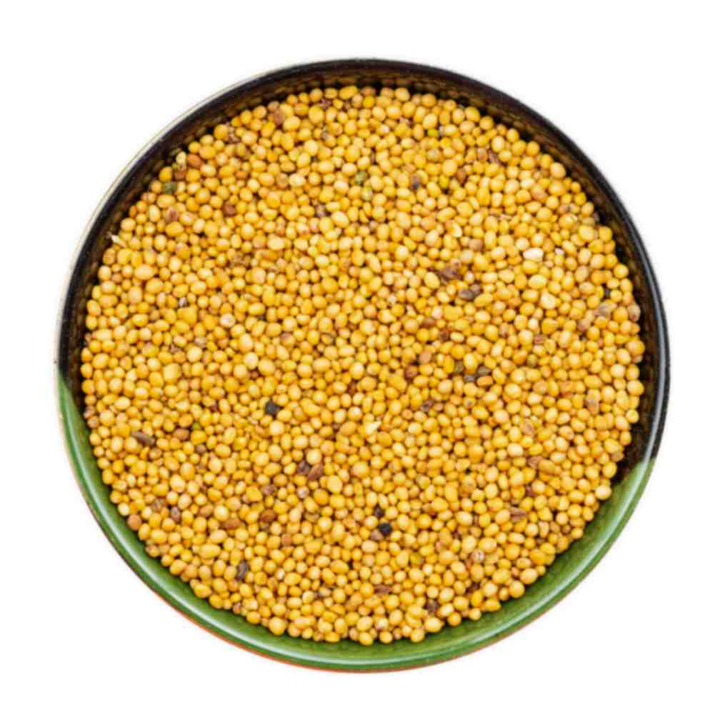 Yellow Mustard Seeds