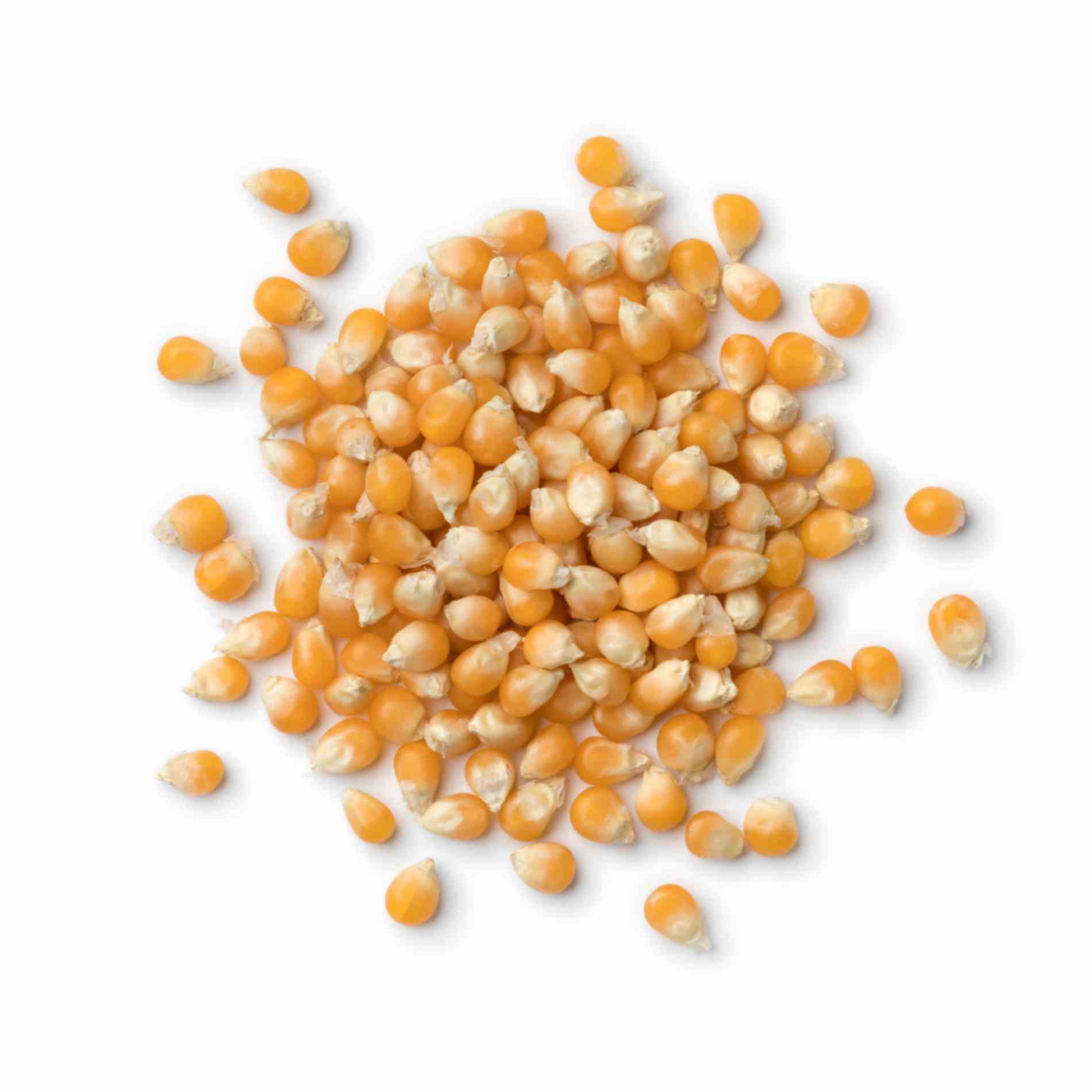 Maize (Corn Seeds)