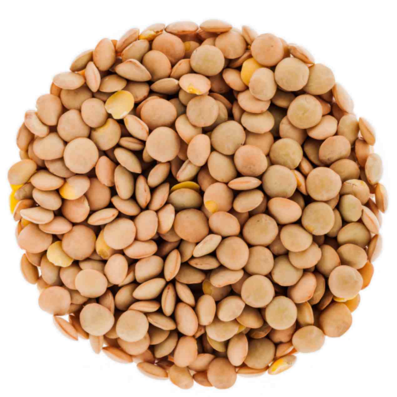 Masoor Dal Brown