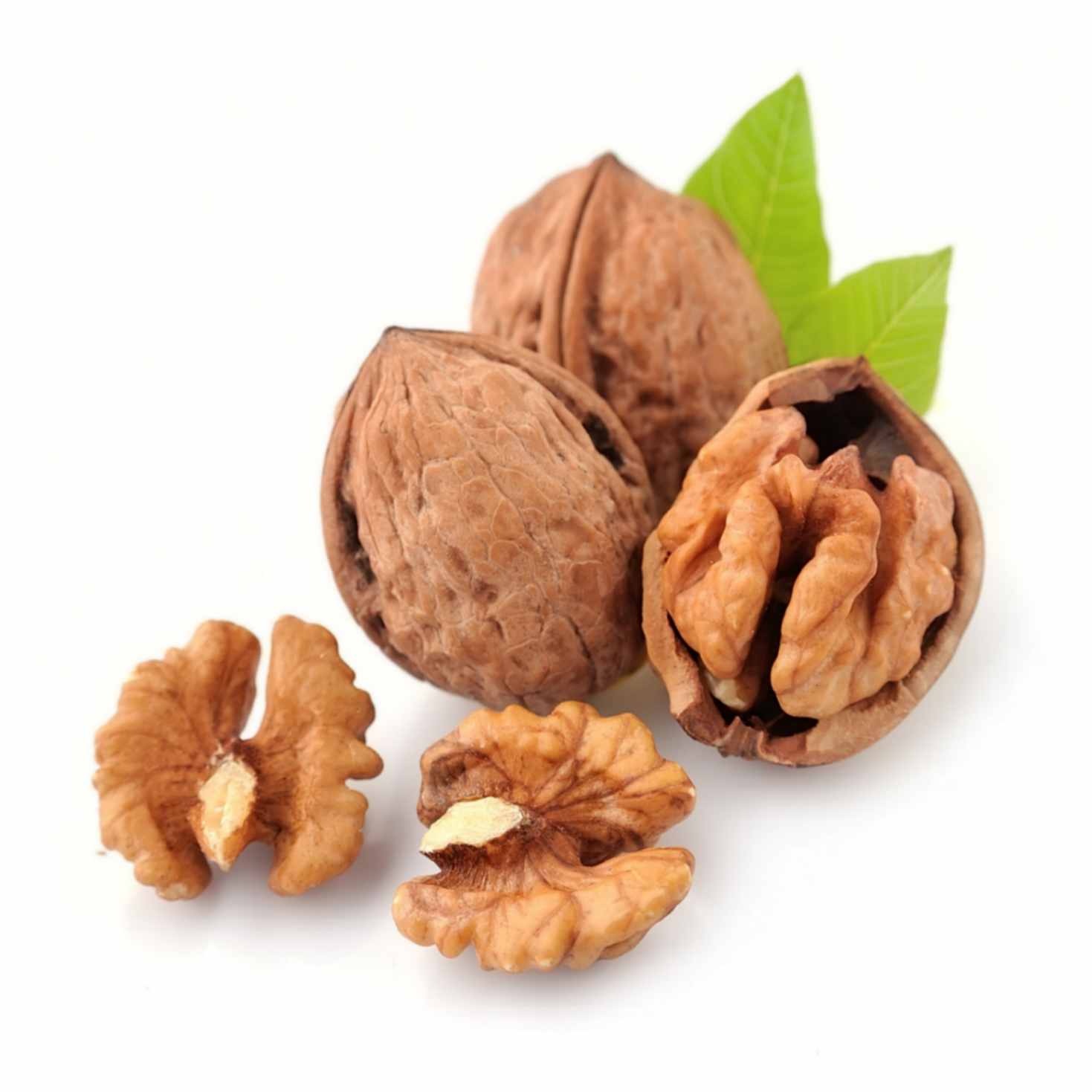 Walnut( Giri) Acrot