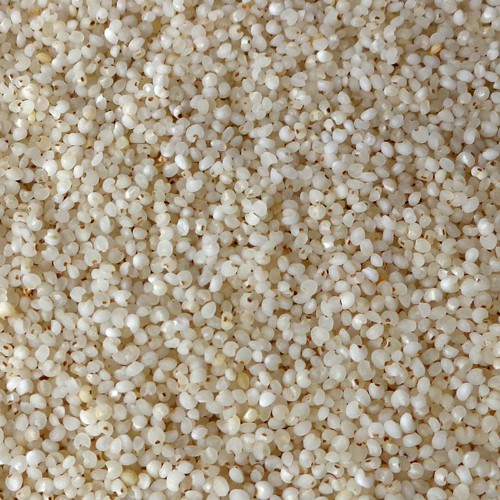 Kodo Millet (Varagu)