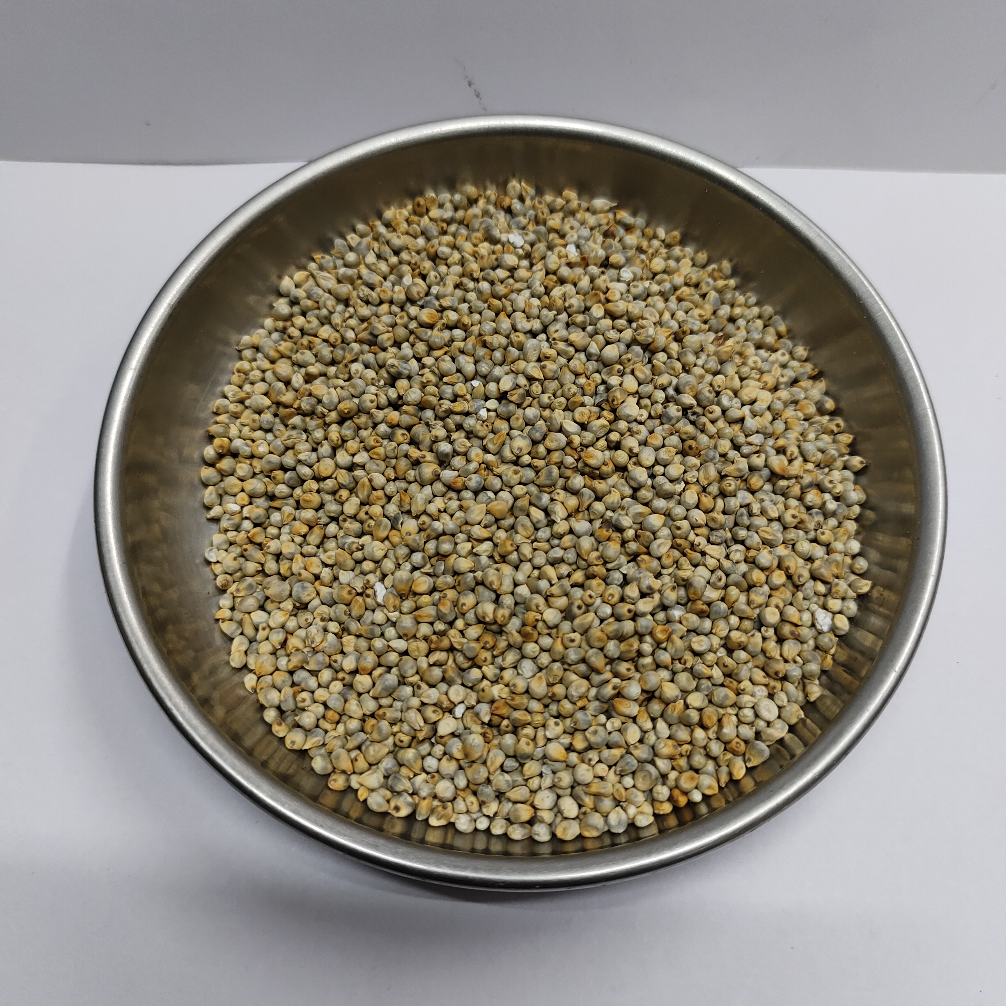 Pearl Millet ( Kambu)